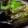 Ottolenghi's Stuffed Grape Leaves and The Importance of Suckitude