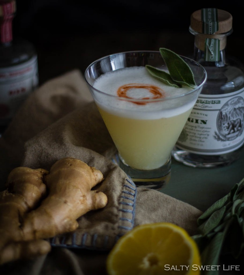 The Apollo - A Gin Cocktail made with St. George Terroir Gin - Salty Sweet Life